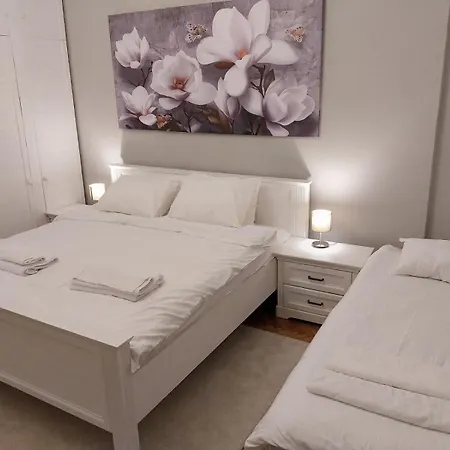 Maximus Apartment